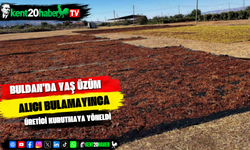 Buldan’da yaş üzüm alıcı bulamayınca üretici kurutmaya yöneldi