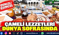 ÇAMELİ LEZZETLERİ DÜNYA SOFRASINDA