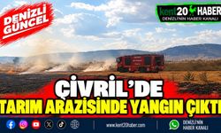 Çivril'de Tarım Arazisinde Yangın Çıktı