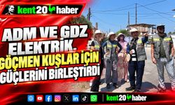 Adm ve Gdz Elektrik, göçmen kuşlar için güçlerini birleştirdi