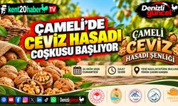 Çameli'de ceviz hasadı coşkusu başlıyor