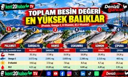 Sofraların Şifa Kaynağı: Hangi Balık Daha Besleyici?