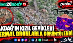 Akdağ'ın kızıl geyikleri termal dronlarla görüntülendi