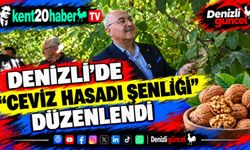 Denizli’de "Ceviz Hasadı Şenliği" düzenlendi