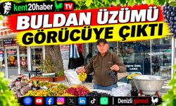 Buldan üzümü görücüye çıktı
