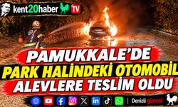 Pamukkale’de Park Halindeki Otomobil Alevlere Teslim Oldu