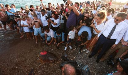 Yaralı kaplumbağaya Kıbrıs Harekatı anısına ‘Lara Barış’ ismi verildi