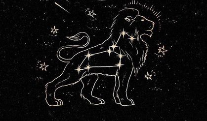 Aslan Burcu ( 23 Temmuz - 23 Ağustos )