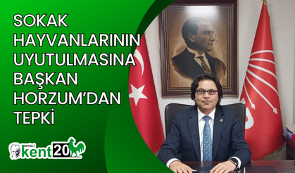 Sokak hayvanlarının uyutulmasına Başkan Horzum’dan tepki