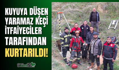 Kuyuya düşen keçi için itfaiyeciler seferber oldu