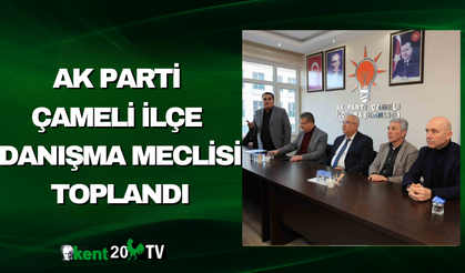 AK Parti Çameli İlçe Danışma Meclisi Toplandı