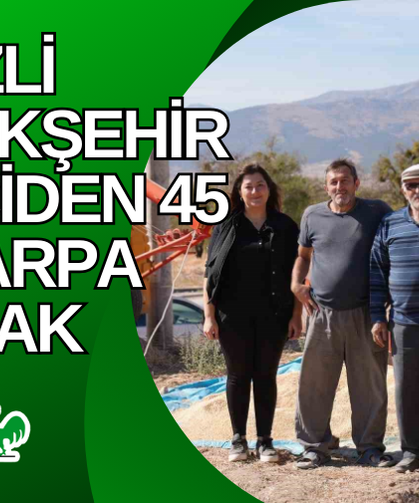 Denizli Büyükşehir çiftçiden 45 ton arpa alacak