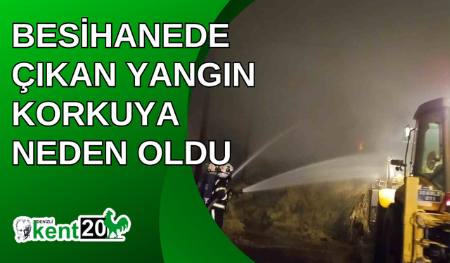 Besihanede çıkan yangın korkuya neden oldu