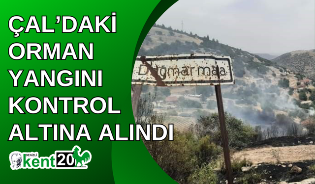 Çal’daki orman yangını kontrol altına alındı