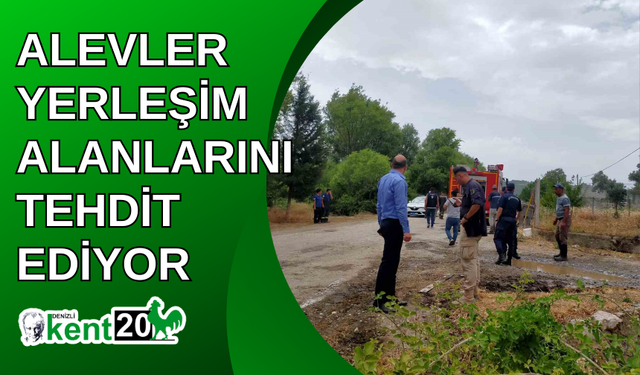 Alevler yerleşim alanlarını tehdit ediyor