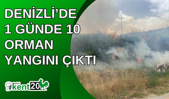 Denizli’de 1 günde 10 orman yangını çıktı