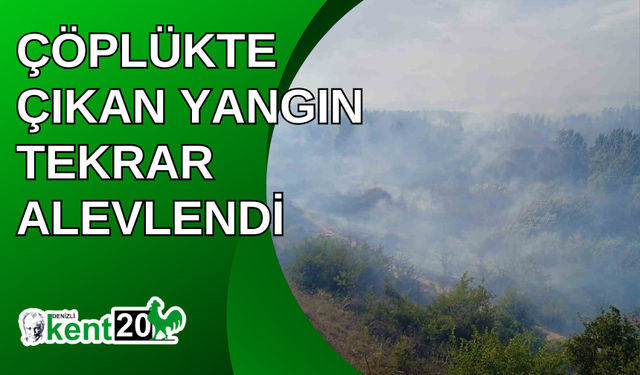 Çöplükte çıkan yangın tekrar alevlendi