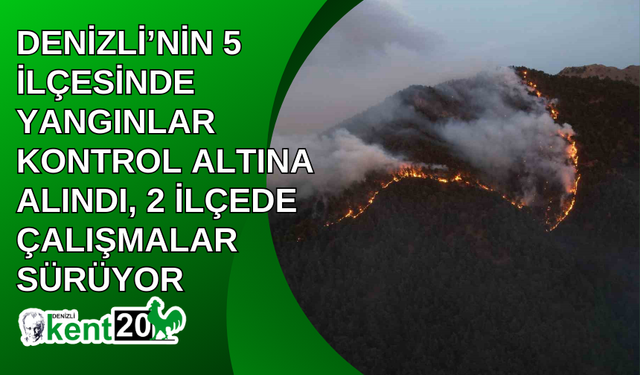 Denizli’nin 5 ilçesinde yangınlar kontrol altına alındı, 2 ilçede çalışmalar sürüyor