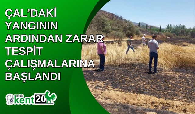 Çal’daki yangının ardından zarar tespit çalışmalarına başlandı