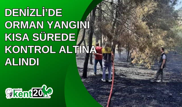 Denizli’de orman yangını kısa sürede kontrol altına alındı