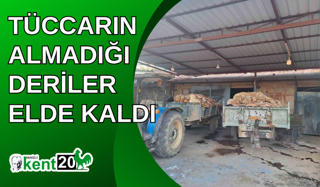 Tüccarın almadığı deriler elde kaldı