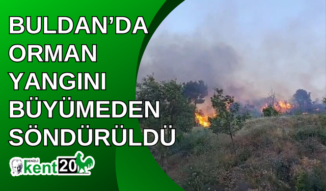 Buldan’da orman yangını büyümeden söndürüldü