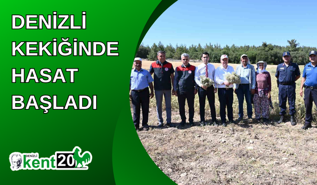 Denizli Kekiğinde hasat başladı