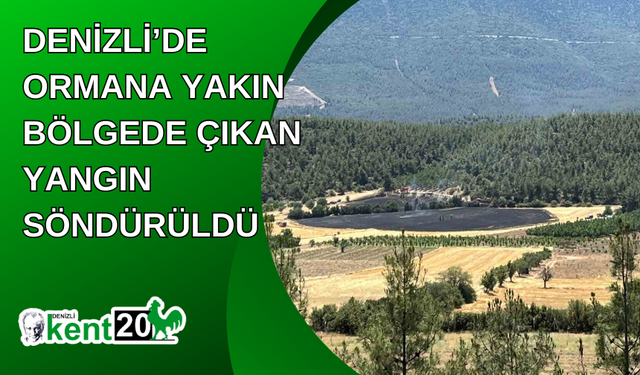 Denizli’de ormana yakın bölgede çıkan yangın söndürüldü