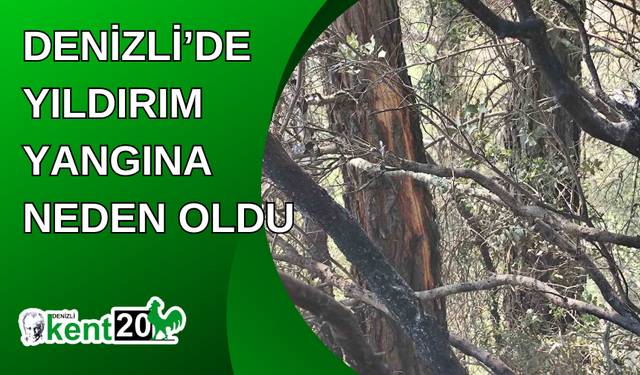 Denizli’de yıldırım yangına neden oldu