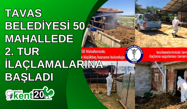 Tavas Belediyesi 50 mahallede 2. tur ilaçlamalarına başladı