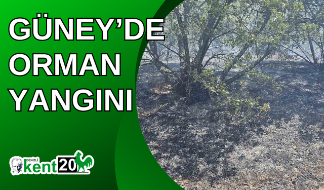 Güney’de orman yangını