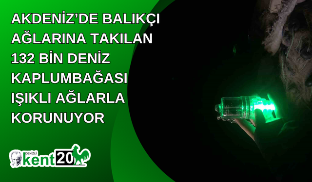 Akdeniz’de balıkçı ağlarına takılan 132 bin deniz kaplumbağası ışıklı ağlarla korunuyor