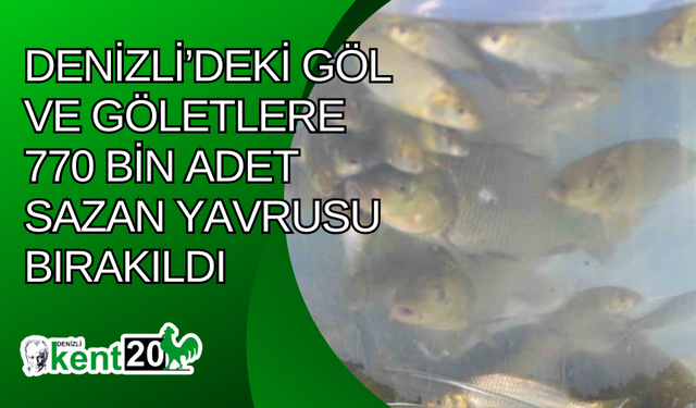 Denizli’deki göl ve göletlere 770 bin adet sazan yavrusu bırakıldı