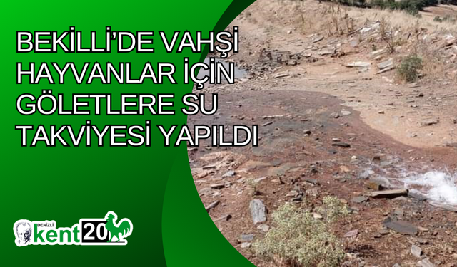 Bekilli’de vahşi hayvanlar için göletlere su takviyesi yapıldı