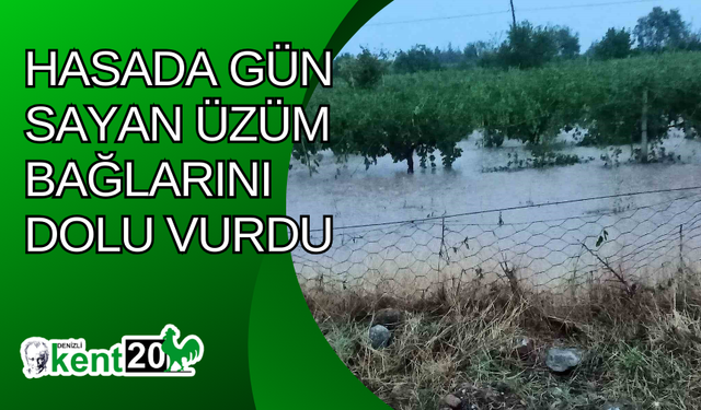 Hasada gün sayan üzüm bağlarını dolu vurdu