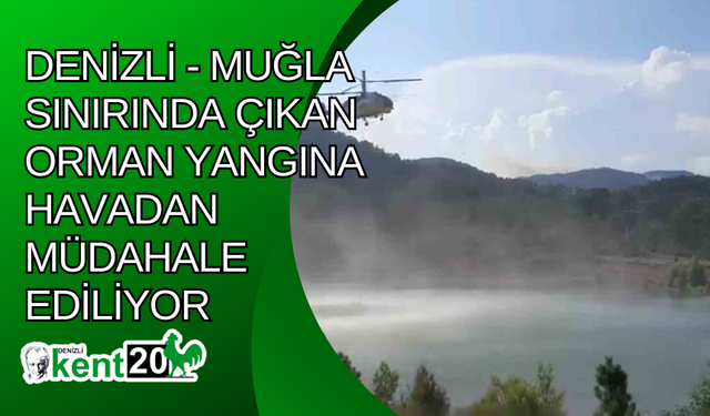 Denizli - Muğla sınırında çıkan orman yangına havadan müdahale ediliyor