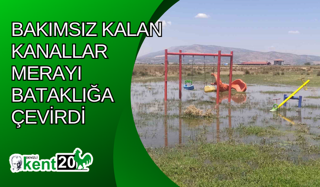 Bakımsız kalan kanallar merayı bataklığa çevirdi