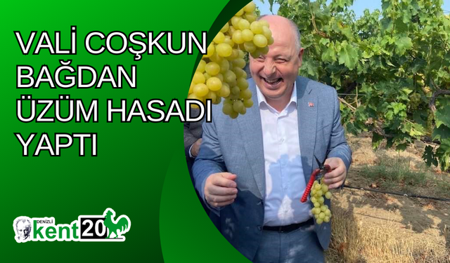 Vali Coşkun bağdan üzüm hasadı yaptı