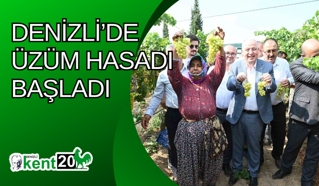 Denizli’de üzüm hasadı başladı