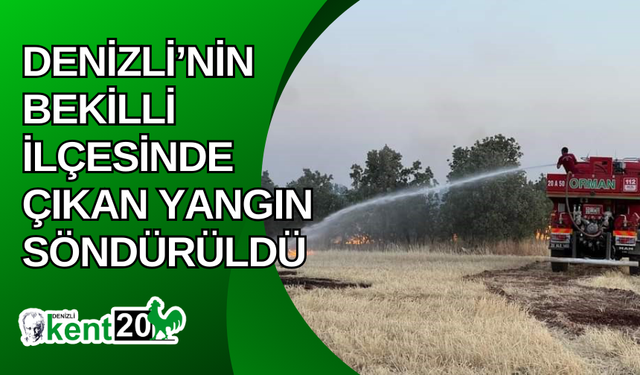 Denizli’nin Bekilli ilçesinde çıkan yangın söndürüldü