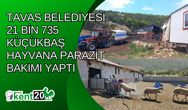 Tavas Belediyesi 21 bin 735 küçükbaş hayvana parazit bakımı yaptı