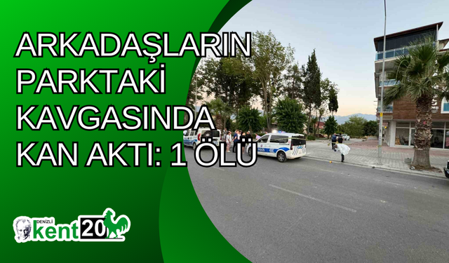 Arkadaşların parktaki kavgasında kan aktı: 1 ölü