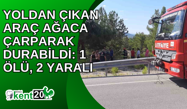 Yoldan çıkan araç ağaca çarparak durabildi: 1 ölü, 2 yaralı