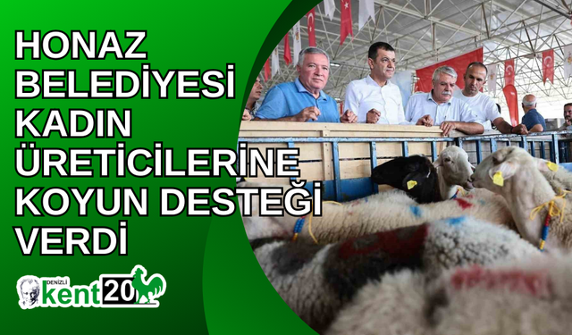 Honaz Belediyesi kadın üreticilerine koyun desteği verildi