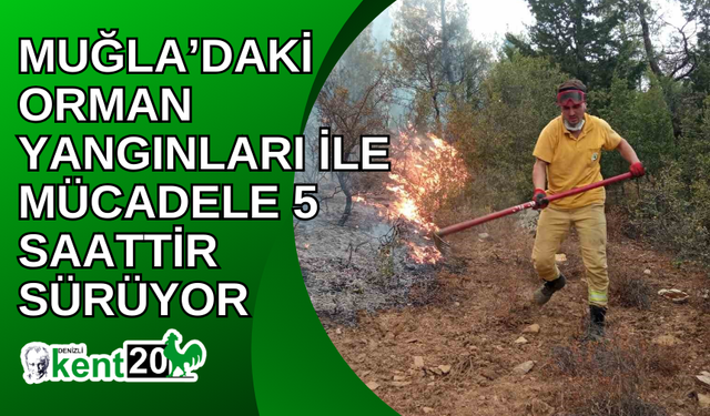 Muğla’daki orman yangınları ile mücadele 5 saattir sürüyor