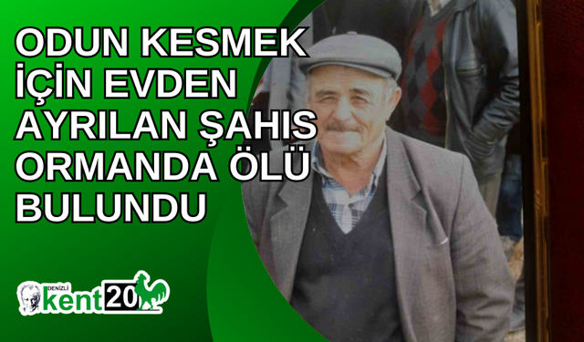 Odun kesmek için evden ayrılan şahıs ormanda ölü bulundu