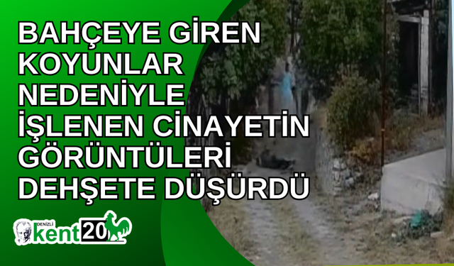 Bahçeye giren koyunlar nedeniyle işlenen cinayetin görüntüleri dehşete düşürdü