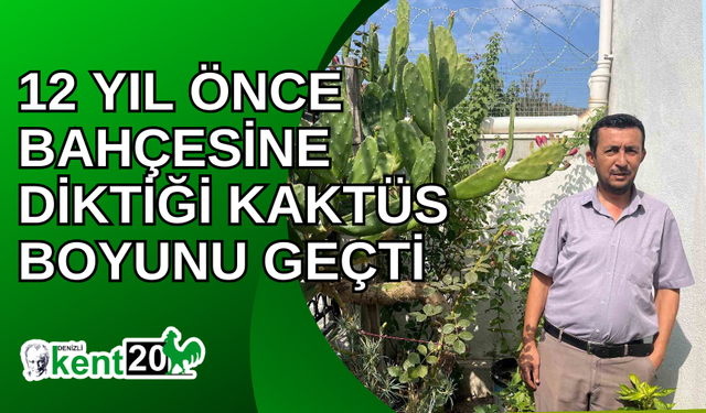 12 yıl önce bahçesine diktiği kaktüs boyunu geçti