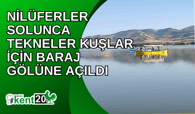 Nilüferler solunca tekneler kuşlar için baraj gölüne açıldı