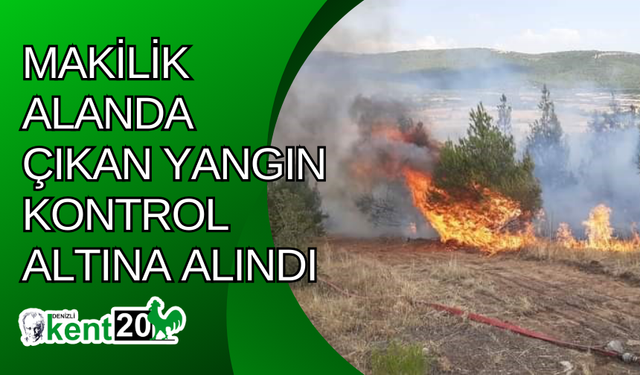 Makilik alanda çıkan yangın kontrol altına alındı